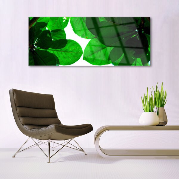 Tablou pe sticla Frunze verde florale