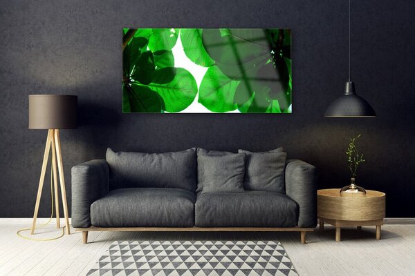 Tablou pe sticla Frunze verde florale