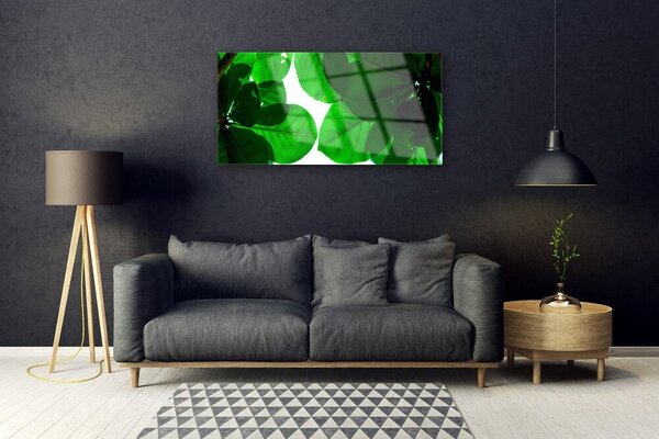 Tablou pe sticla Frunze verde florale