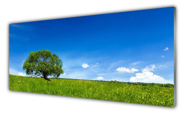 Panou sticla bucatarie Iarbă copac Natura Albastru Verde Maro