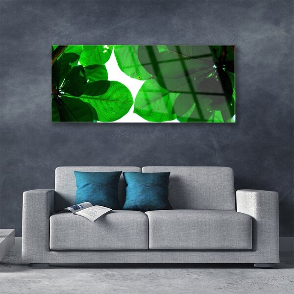 Tablou pe sticla Frunze verde florale