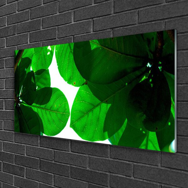 Tablou pe sticla Frunze verde florale