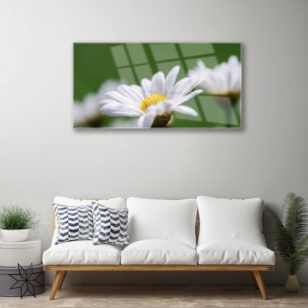 Tablou pe sticla Daisy Floral Alb Galben Verde
