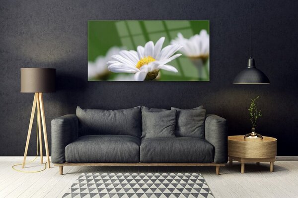 Tablou pe sticla Daisy Floral Alb Galben Verde