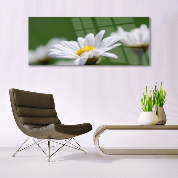 Tablou pe sticla Daisy Floral Alb Galben Verde