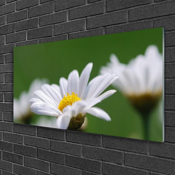 Tablou pe sticla Daisy Floral Alb Galben Verde