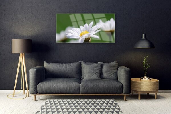 Tablou pe sticla Daisy Floral Alb Galben Verde