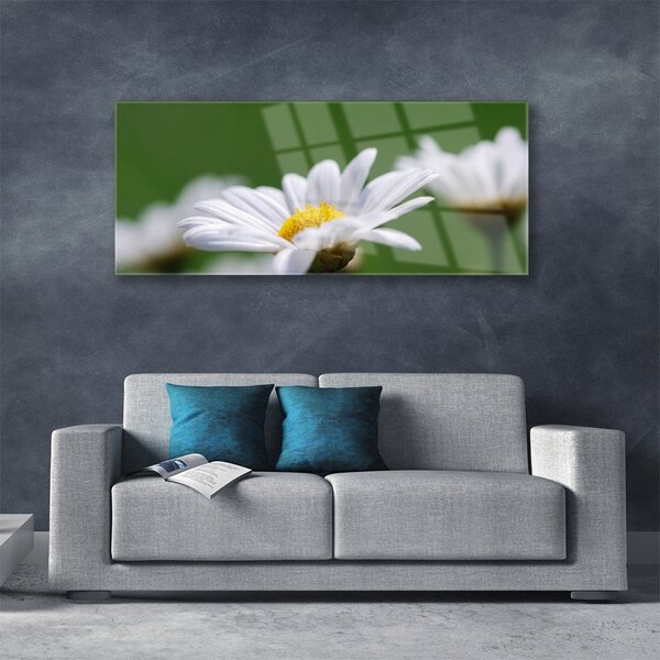 Tablou pe sticla Daisy Floral Alb Galben Verde