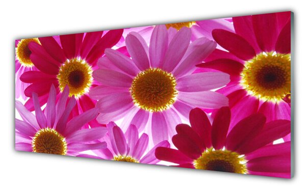 Panou sticla bucatarie Flori Floral galben roz
