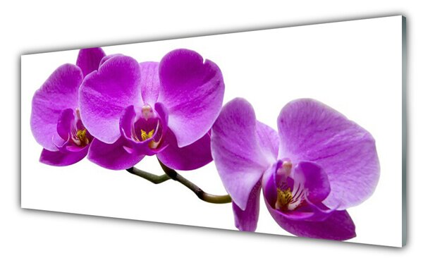 Tablou pe sticla Flori Floral Violet Maro