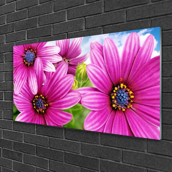 Tablou pe sticla Flori Floral Roz Galben Albastru