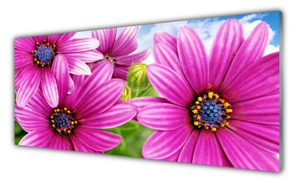 Tablou pe sticla Flori Floral Roz Galben Albastru