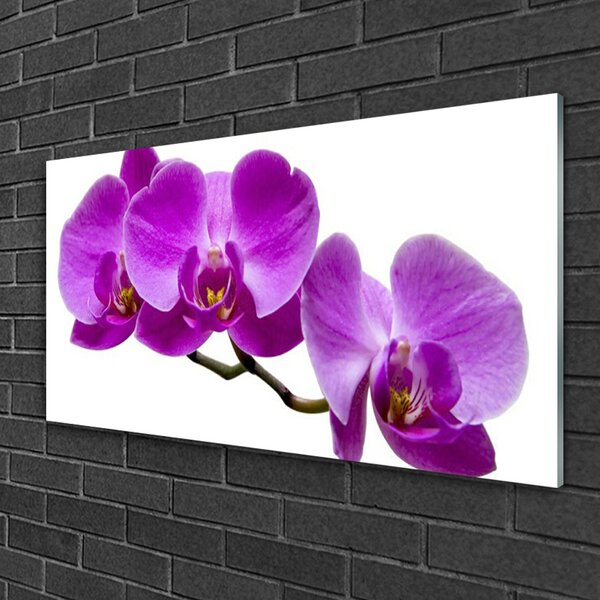 Tablou pe sticla Flori Floral Violet Maro