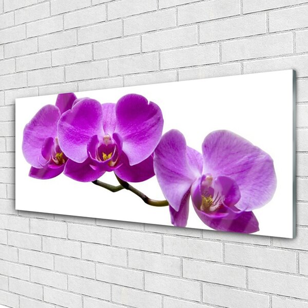Tablou pe sticla Flori Floral Violet Maro