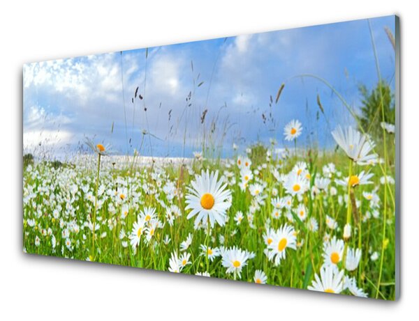 Panou sticla bucatarie Meadow Natura Alb Galben Margarete Verde Albastru