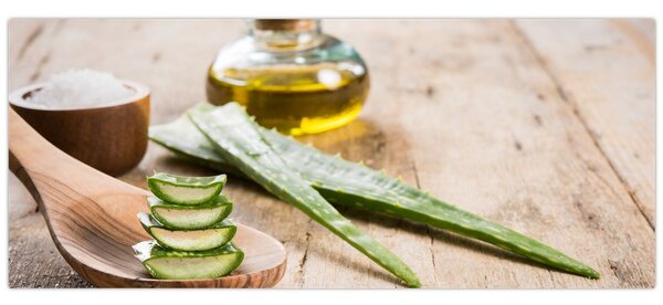Tablou - Aloe vera (120x50 cm)