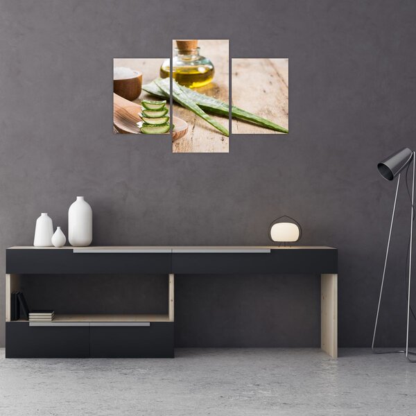 Tablou - Aloe vera (90x60 cm)
