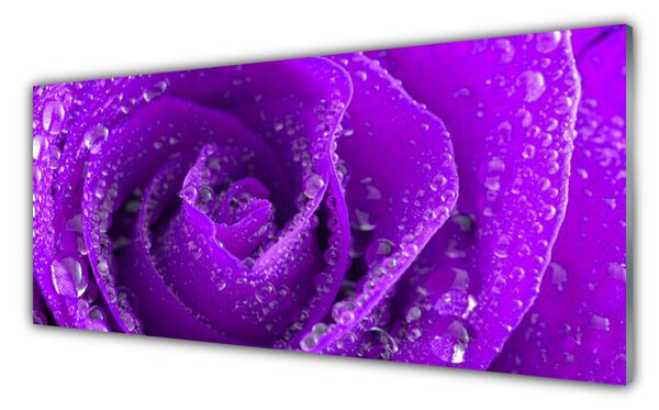 Tablou pe sticla Rose Floral violet