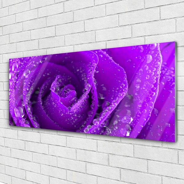 Tablou pe sticla Rose Floral violet
