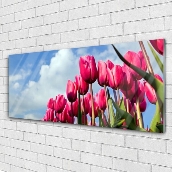 Tablou pe sticla Tulip Floral Roz Verde