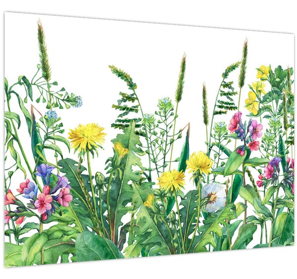 Tablou - Flori de pajiște pictate (70x50 cm)