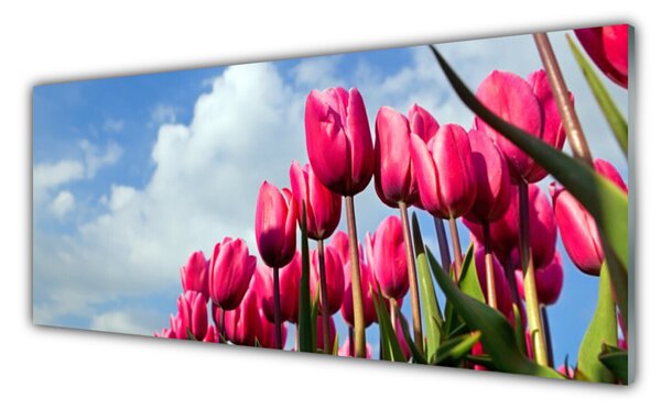 Tablou pe sticla Tulip Floral Roz Verde