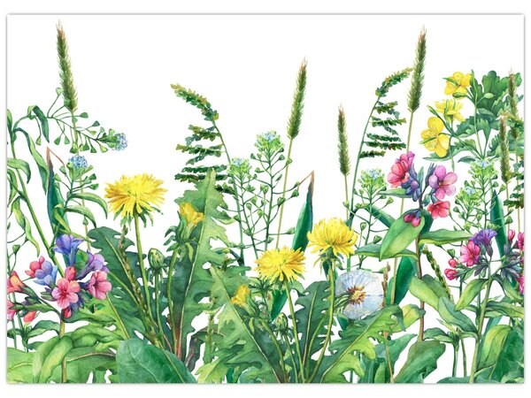 Tablou - Flori de pajiște pictate (70x50 cm)