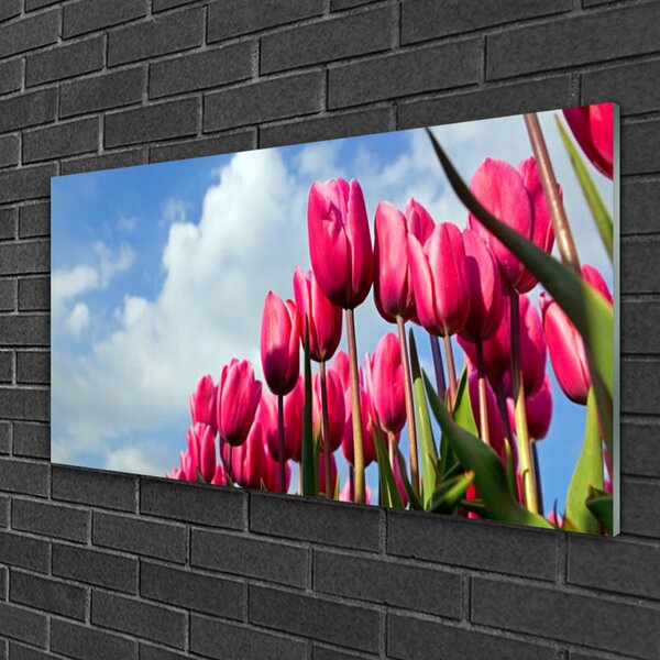 Tablou pe sticla Tulip Floral Roz Verde
