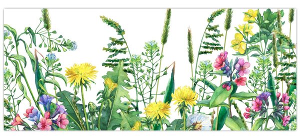 Tablou - Flori de pajiște pictate (120x50 cm)