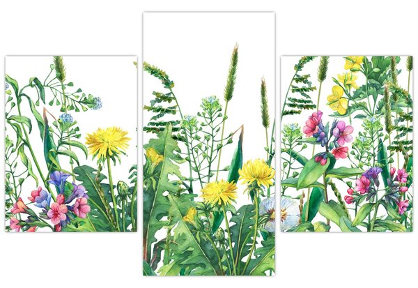 Tablou - Flori de pajiște pictate (90x60 cm)
