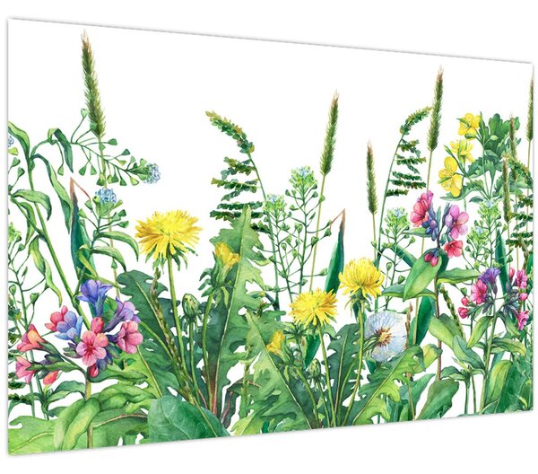 Tablou - Flori de pajiște pictate (90x60 cm)