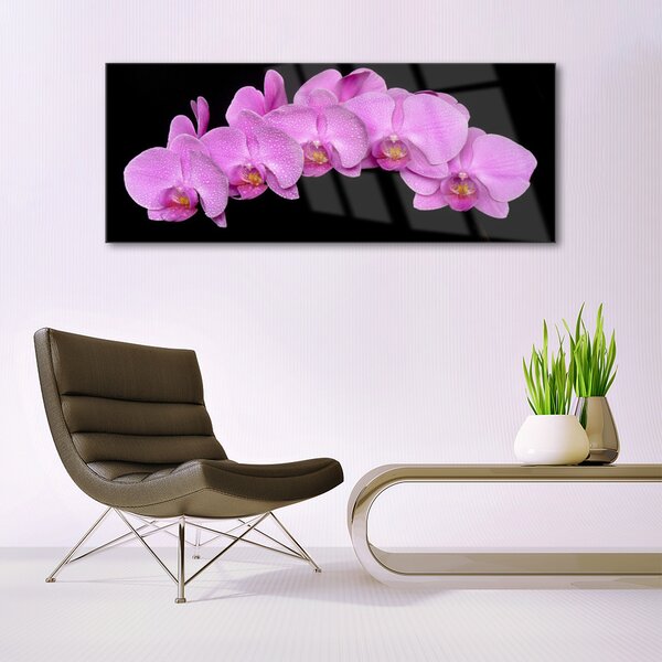 Tablou pe sticla Flori Floral roz negru