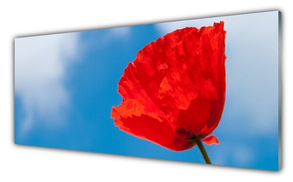 Tablou pe sticla Tulip Floral Roșu Albastru