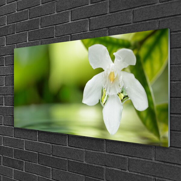Tablou pe sticla Frunze de flori Floral Alb Verde