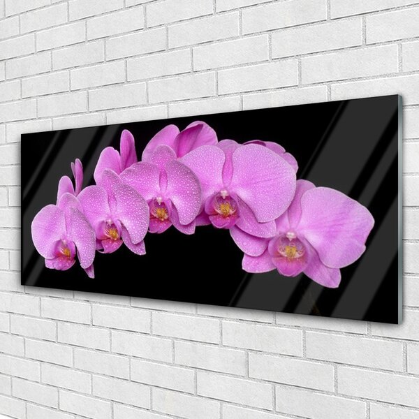 Tablou pe sticla Flori Floral roz negru