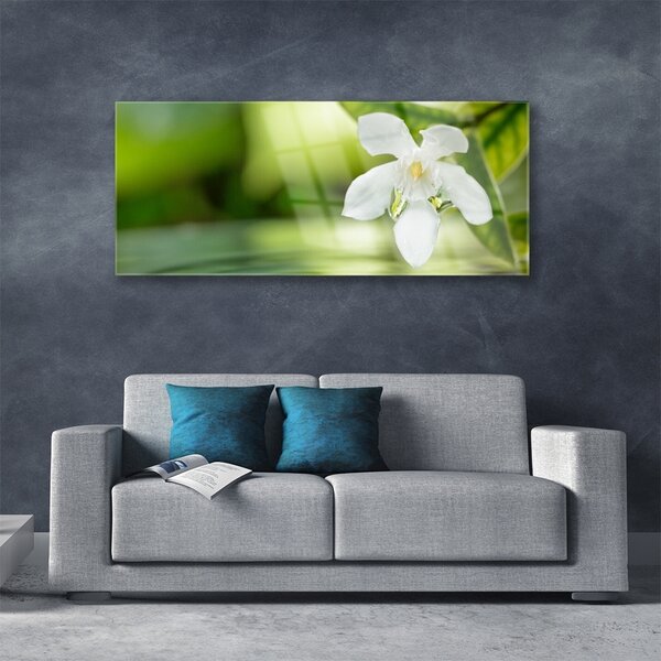 Tablou pe sticla Frunze de flori Floral Alb Verde