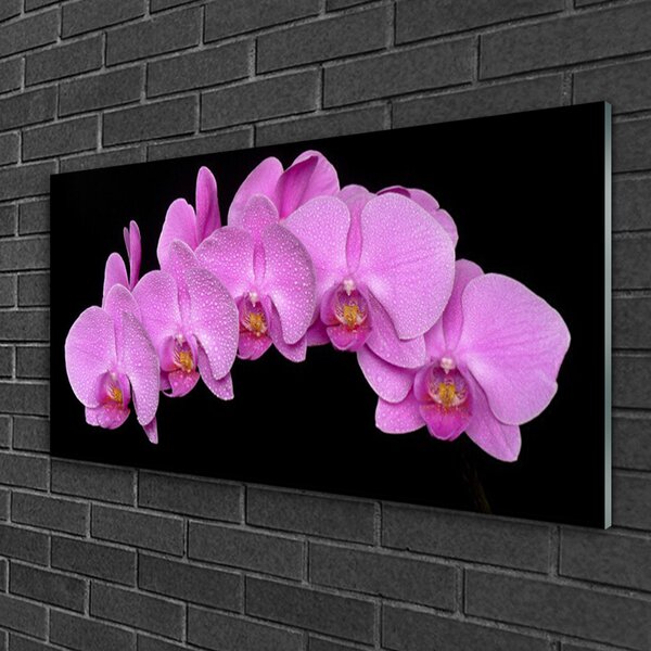 Tablou pe sticla Flori Floral roz negru