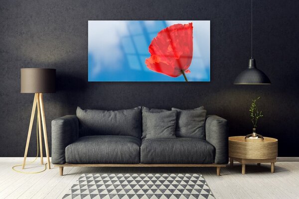 Tablou pe sticla Tulip Floral Roșu Albastru