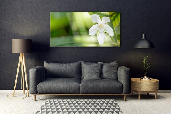 Tablou pe sticla Frunze de flori Floral Alb Verde