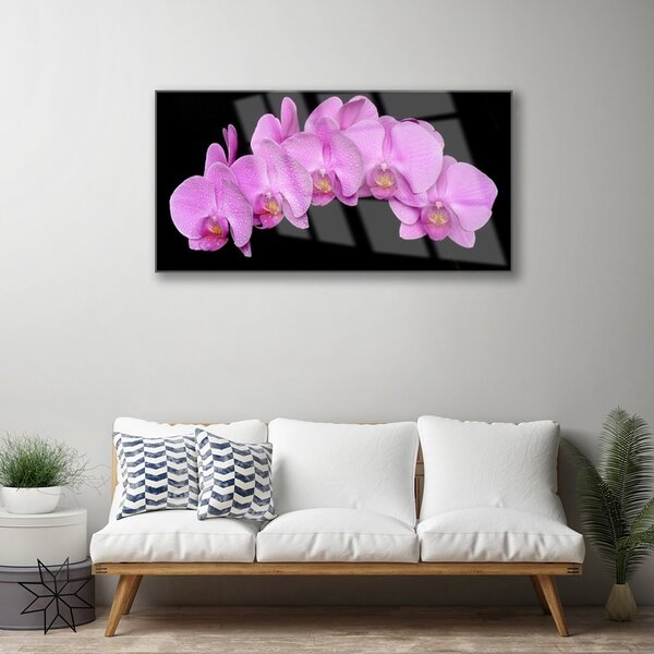 Tablou pe sticla Flori Floral roz negru