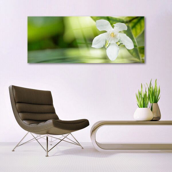 Tablou pe sticla Frunze de flori Floral Alb Verde