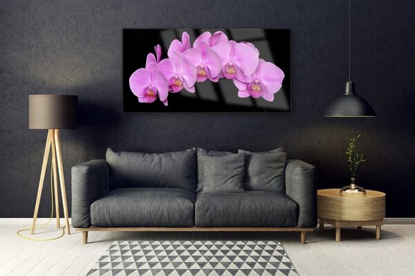 Tablou pe sticla Flori Floral roz negru