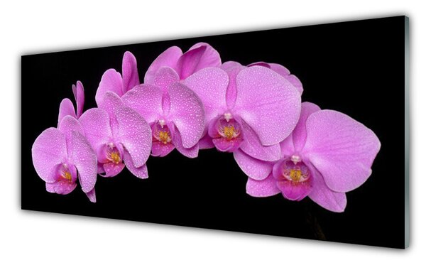 Tablou pe sticla Flori Floral roz negru