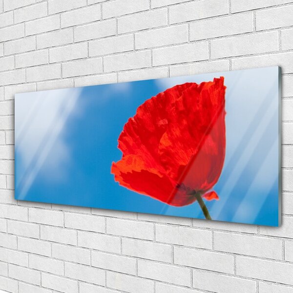 Tablou pe sticla Tulip Floral Roșu Albastru