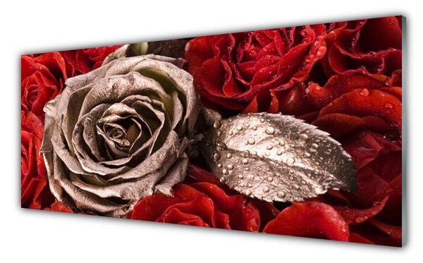Tablou pe sticla Trandafiri Floral Red