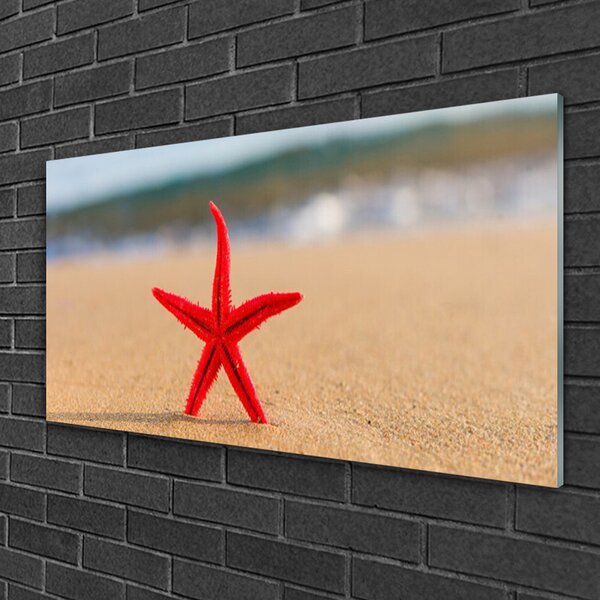 Tablou pe sticla Plaja Starfish Art Red