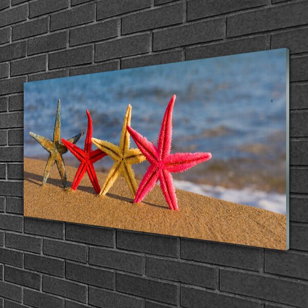 Tablou pe sticla Plaja Starfish Art Multi