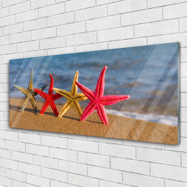 Tablou pe sticla Plaja Starfish Art Multi