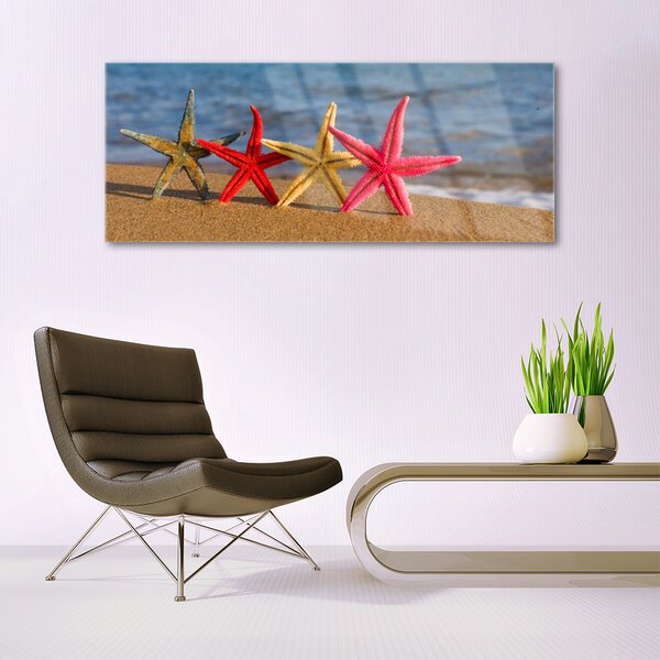 Tablou pe sticla Plaja Starfish Art Multi