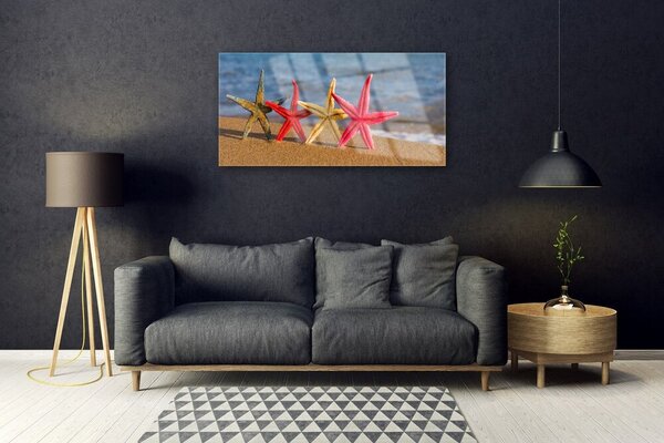 Tablou pe sticla Plaja Starfish Art Multi